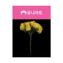 3963 이미지