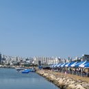 포항해양스포츠아카데미 무료체험 카약 파워보트 크루즈까지