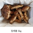 “속리산에서 온 향기, 부모님 선물로 고른 프리미엄 자연산 송이”