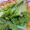 작은백로 - 청주시 청원구 충청대로115번길 15-2 | 청주테크노폴리스 맛집 탐방(13) 작은백로 양념전지 내돈내산 솔직후기 , 그리고투썸플레이스 말차아박