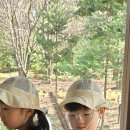 부여 유아숲체험원 이미지