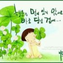 행운 Daum카페