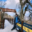 #3. 발왕산관광케이블카 & 천년주목데크숲속길•정상(1,458m) 눈꽃산행 이미지