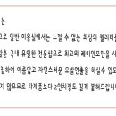 e붙임머리