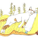 마루아라 이미지