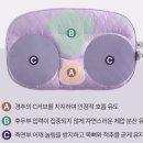 깊은생각 | 베개 추천 아이유베개 슬립앤슬립 깊은잠베개 후기 | 퍼플 에디션 S, M 사이즈 비교