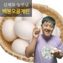 행운유정란 쇼핑하우