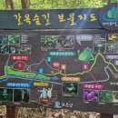 속리산둘레길 보은길2 이미지