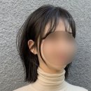 살롱필리아 네이버블로그