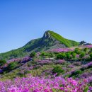 세미백