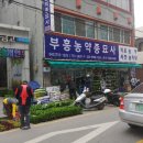 부흥농약종묘사 이미지