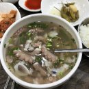 [목포] 2박 3일 알찬 일정 👉 맛집, 카페, 명소 꿀팁