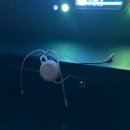 타이거노래연습장 이미지