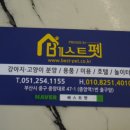 부산강아지분양 고양이분양 베스트펫 본점 이미지
