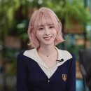 (주) 펫앤미 이미지