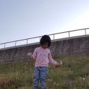 안강종합운동장 네이버블로그
