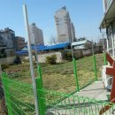 퐁이네 애견 이미지