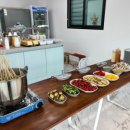 별빛애견 이미지