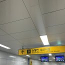 노량진수산시장 횟집 중 가장 맛집인 성진수산에서 모듬회 포장 솔직 후기!!