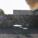 우주오리 이미지