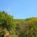 한밭수목원2 이미지