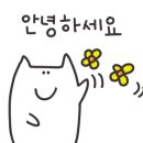 씨즈케어랩 이미지