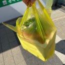 천안과일도매 탕정점 아산 과일 야채 가격 보고 놀란 곳