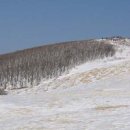 발해목장 이미지