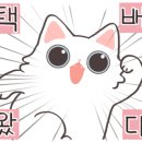 모디돌 이미지