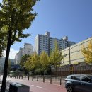 밀알약국 이미지