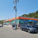 도비도항 노지 체험 : 당진 김포닭집 닭강정 &amp; 장고항 슬기네수산 실치회 맛집