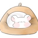 도도리 이미지