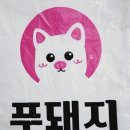 푸돼지 이미지