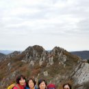 강산애 이미지