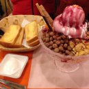 씨리얼 카카오 검색결과