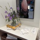 세렌디피크닉 이미지