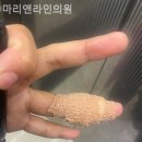 마리앤의원 이미지