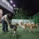 통이네다방 이미지