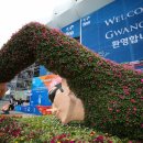 수영메디칼 이미지