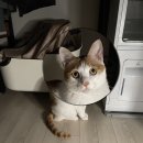 come&play English 이미지