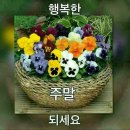 파주 화로구이