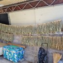 역마촌식당 이미지