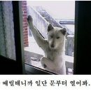 헤라뷰티아카데미
