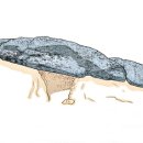 단지바우로 이미지