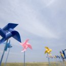 바람이 머무는 곳 이미지