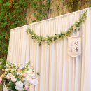 라벨라쿠치나 이미지