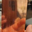 디케이텍 이미지