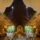 라온제나 | 라온제나 분당 아이폰스냅 촬영 후기 | 아뜨랑트 스냅