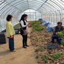 박사농장 이미지