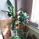 옥계초병설유치원 이미지